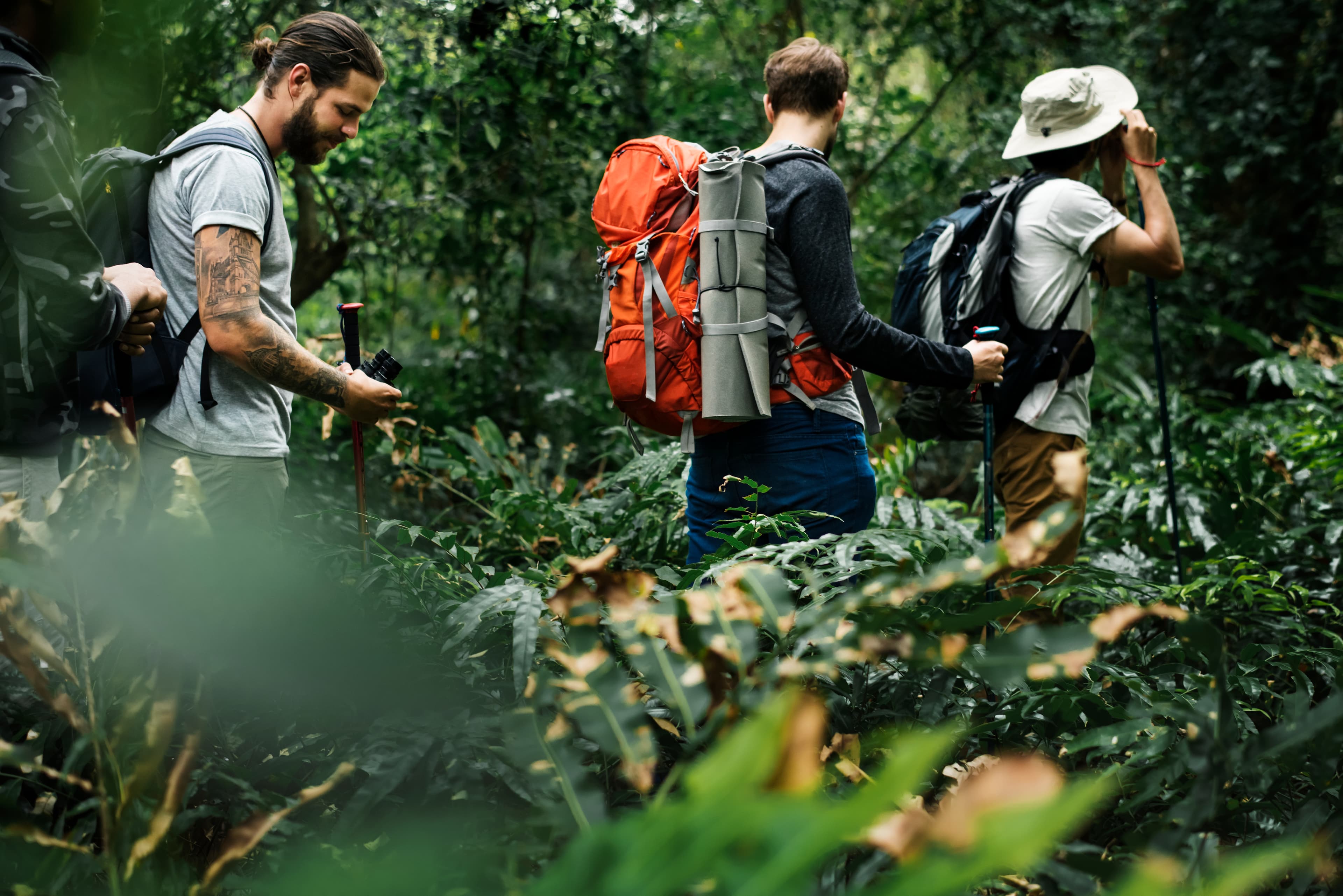 Amazon Rainforest Trek